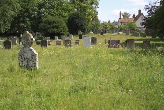 Framed Print : Long grass and wildflowers growing amongst headstones in churchyard conservation area, St Framed Print : Long grass and wildflowers growing amongst headstones in churchyard conservation area, St