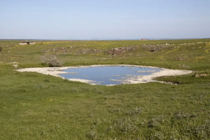 Framed Print : After a long spell of rain the small ponds on the high plateau of the Belen Plains are full. Extremadura, Spain