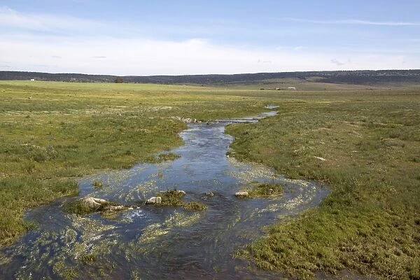 After a long spell of rain the small streams on the high plateau of the Belen Plains are in full flow