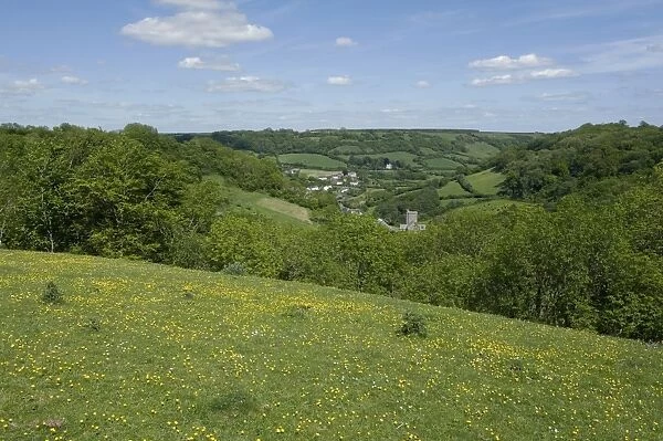 Looking towards Branscombe village on an early summer day in Devon with trees in new leaf buttercups in flower