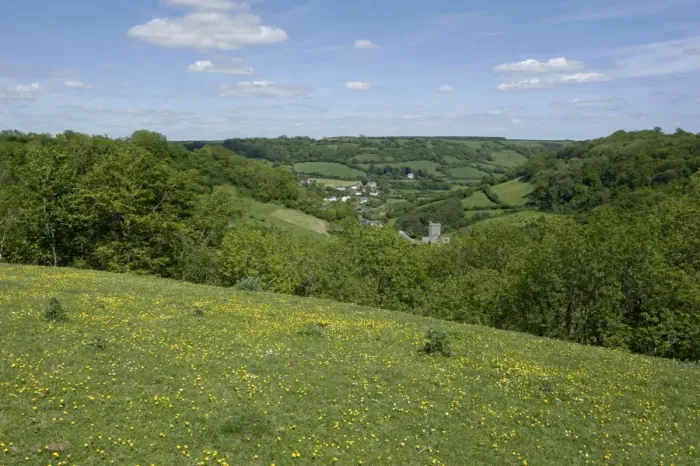 Framed Print : Looking towards Branscombe village on an early summer day in Devon with trees in new leaf buttercups in flower