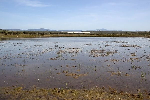 Looking over flooded rice fields towards the Presa de Sierra Brava Dam, which lies in the eastern side of Badajoz