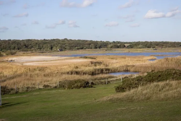 Framed Print : Looking north west from The Sluice over the Scrape at RSPB Minsmere Suffolk. Left is Wildlife Lookout hide