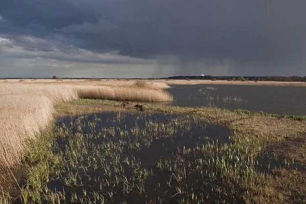 Looking south over storm clouds from Island Mere Hide at RSPB Minsmere. Sizewell Nuclear power station in far distance
