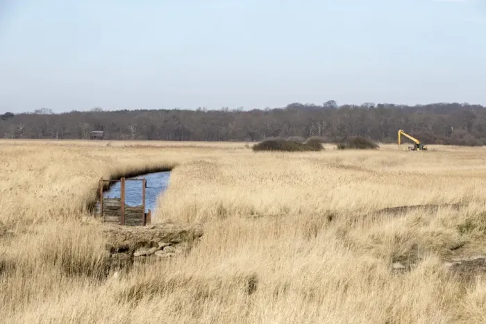 Framed Print : Looking west towards Bittern Hide over reeds and a dyke. Also digger used for maintaining the marshland habitat