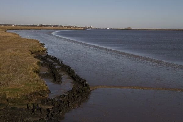Low tide on the River Alde has exposed some old groynes. Looking north towards Aldburgh, Suffolk