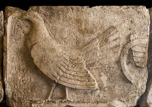 Lycian frieze depicting cockerel (Lycian tradition to sacrifice cockerels and make sacrificial offerings to deceased)