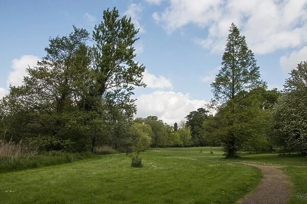 Lynford Arboretum Nofolk