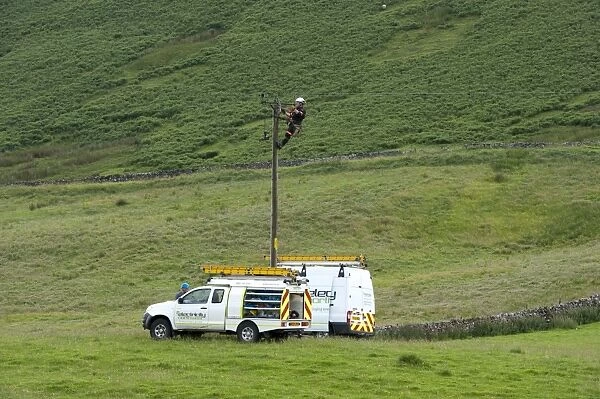 Mains electric technicians repairing cable on rural electricity pole, Cumbria, England, July