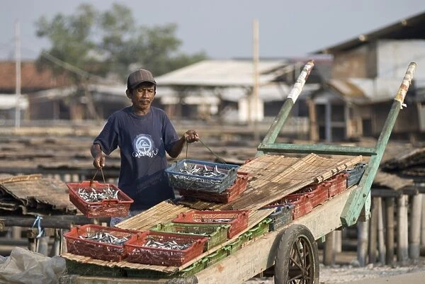 Man lifting fish in baskets from cart to put on mats to dry, Muara Karang, Jakarta, Java, Indonesia