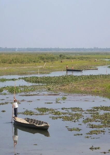 Man punting boat on river, Dibru-Saikhowa, Assam, India, february