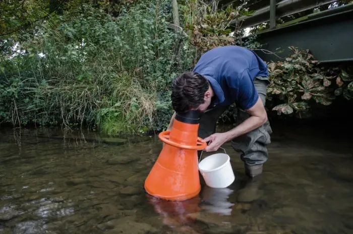 Framed Print : Man searching for Atlantic Stream Crayfish (Austropotamobius pallipes) under licence, using viewing bucket Framed Print : Man searching for Atlantic Stream Crayfish (Austropotamobius pallipes) under licence, using viewing bucket