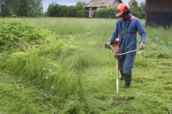 Man using strimmer on farm, cutting back vegetation around sheds, Sweden