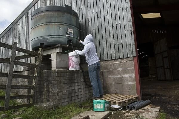 Man wearing hoodie, about to steal diesel from tank in farmyard, Lancashire, England, August