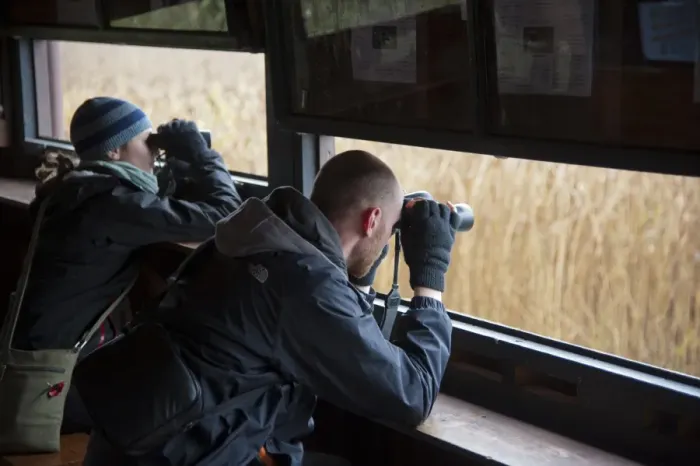 Framed Print : Man and woman with binoculars in hide, Loch of Kinnordy RSPB Nature Reserve, Kingoldrum, Angus, Scotland, november Framed Print : Man and woman with binoculars in hide, Loch of Kinnordy RSPB Nature Reserve, Kingoldrum, Angus, Scotland, november