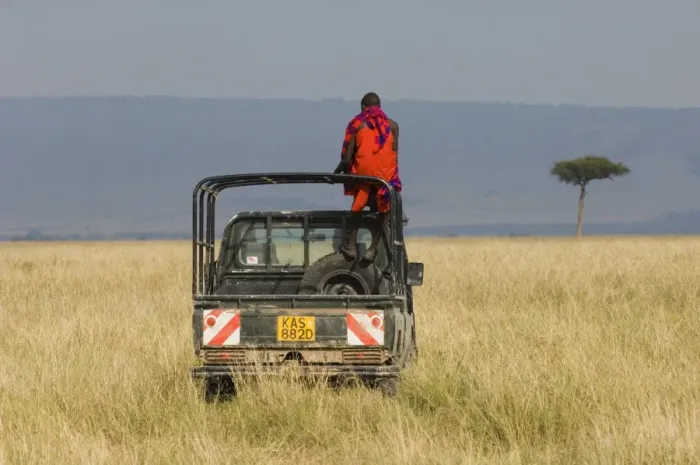Framed Print : Masai tribesman, standing in back of jeep, Masai Mara, Kenya