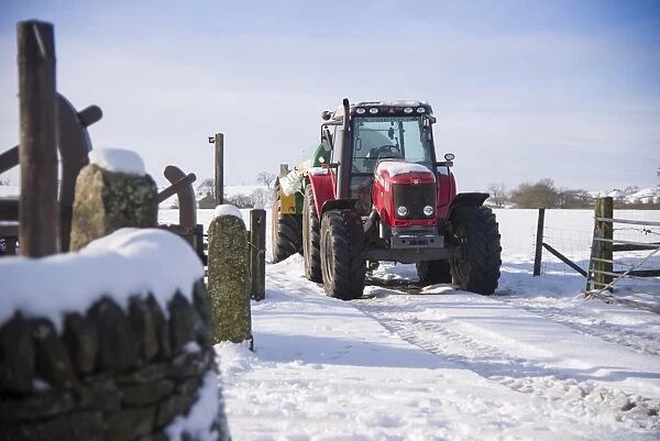 Massey Ferguson 5465 tractor with slurry tanker in snow, Chipping, Lancashire, England, January