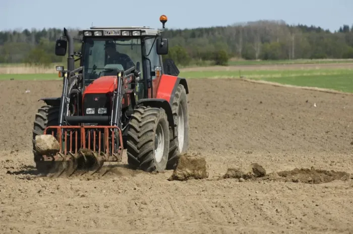 Framed Print : Massey Ferguson 6290 tractor with front loader forks, removing large stones from cultivated arable field, Sweden