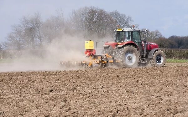 Massey Ferguson tractor cultivating and drilling grass seed during dry dusty conditions, Oulton, Cheshire, England