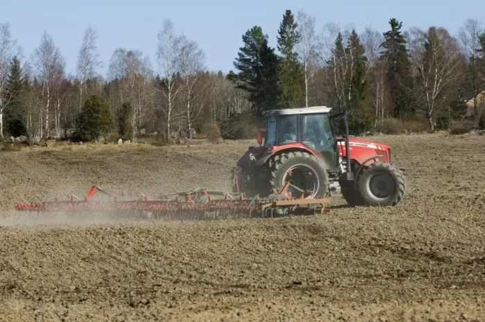 Framed Print : Massey Ferguson tractor pulling harrows, harrowing field, Sweden, spring Framed Print : Massey Ferguson tractor pulling harrows, harrowing field, Sweden, spring