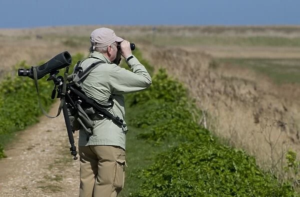 Mature birdwatcher with binoculars and telescope, looking over coastal marshland, Cley Marshes Reserve