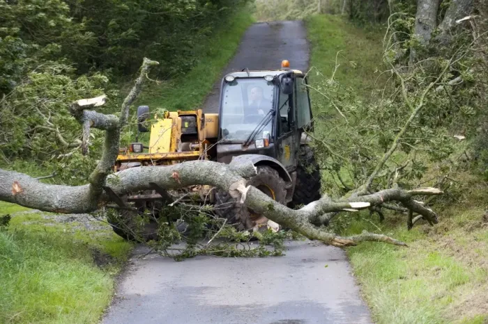 Framed Print : Mature tree fallen across road during storm being moved by farmer with loader, England, september Framed Print : Mature tree fallen across road during storm being moved by farmer with loader, England, september