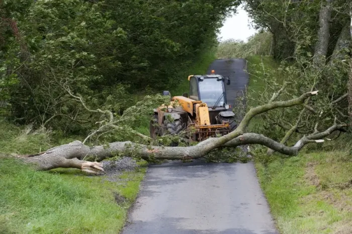 Framed Print : Mature tree fallen across road during storm being moved by farmer with loader, England, september Framed Print : Mature tree fallen across road during storm being moved by farmer with loader, England, september
