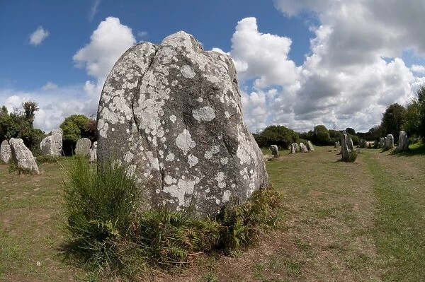 Megalithic standing stones, Carnac Stones, Carnac, Brittany, France, august