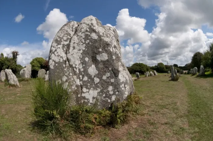 Framed Print : Megalithic standing stones, Carnac Stones, Carnac, Brittany, France, august