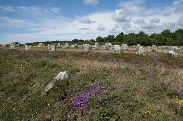 Megalithic standing stones, Carnac Stones, Carnac, Brittany, France, august