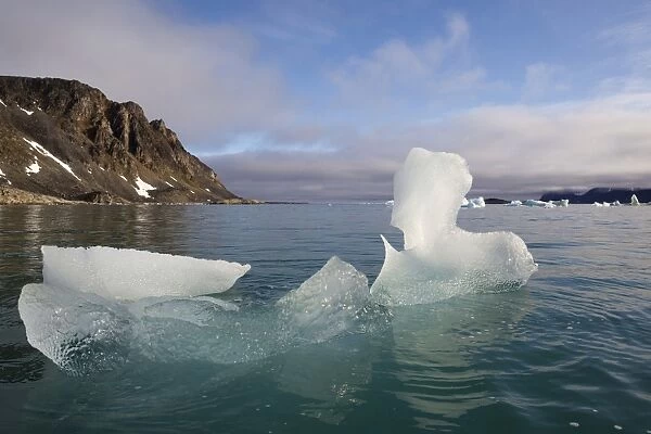 Melting glacial iceberg in fjord, Raudfjorden, Spitsbergen, Svalbard, August