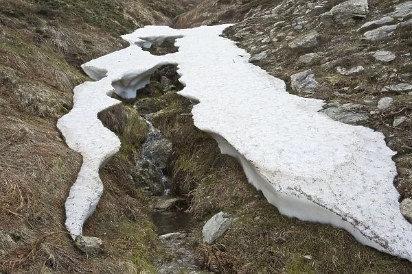 Melting snow patch at high altitude, Gennargentu Mountains, Sardinia, Italy, April