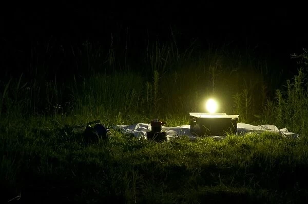 Mercury vapour moth trap on white sheet amongst low vegetation at night, Priory Water Nature Reserve, Leicestershire