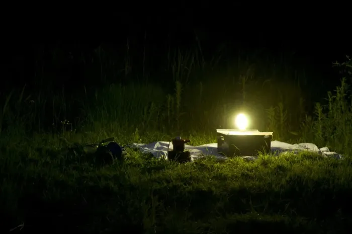 Framed Print : Mercury vapour moth trap on white sheet amongst low vegetation at night, Priory Water Nature Reserve, Leicestershire