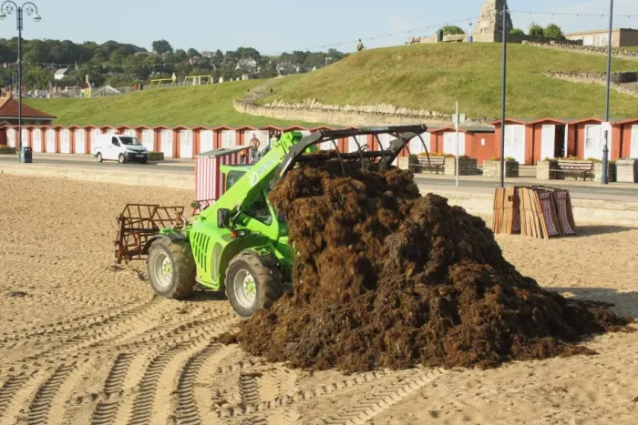 Framed Print : Merlo loader clearing seaweed from sandy beach of seaside town, Swanage, Isle of Purbeck, Dorset, England, august Framed Print : Merlo loader clearing seaweed from sandy beach of seaside town, Swanage, Isle of Purbeck, Dorset, England, august