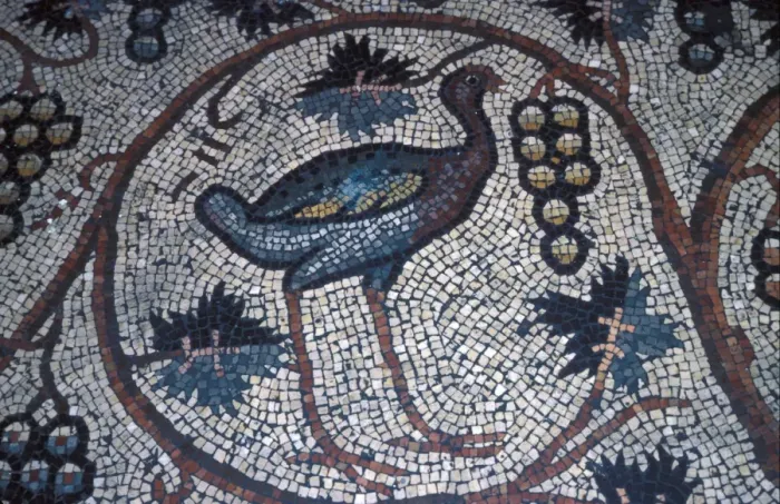 Framed Print : Middle East / Israel Archaeology - Mosaics on the floor of convent of St. Polyeucte, Jerusalem Framed Print : Middle East / Israel Archaeology - Mosaics on the floor of convent of St. Polyeucte, Jerusalem
