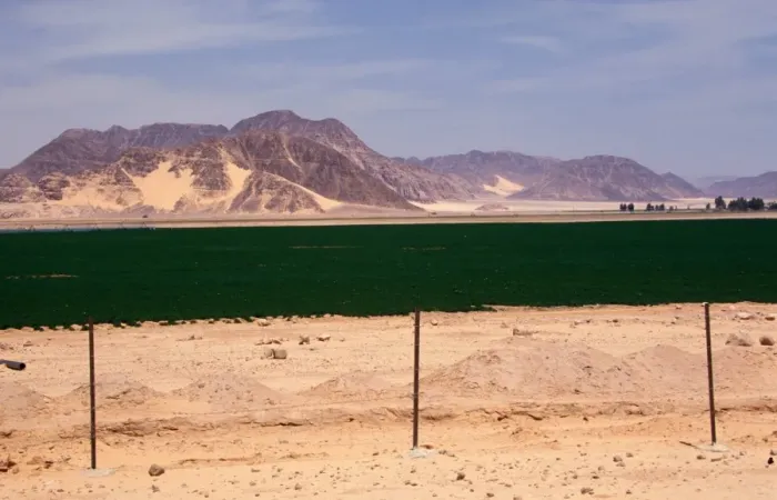 Framed Print : Middle East-Jordan Turning the desert green through irrigation from underground water nr. Quweira & Wadi Rum