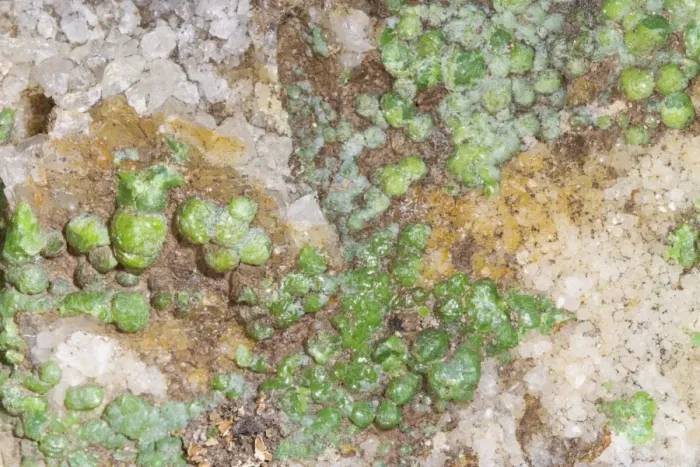 Framed Print : Minerals, Pyromorphite (Lead chlorophosphate) green crystalline mineral on quartz, from Mid-Wales orefield Framed Print : Minerals, Pyromorphite (Lead chlorophosphate) green crystalline mineral on quartz, from Mid-Wales orefield