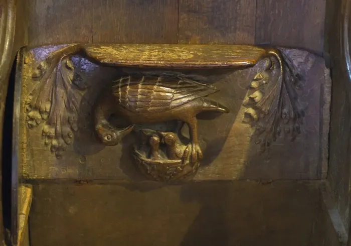 Framed Print : Misericord depicting pelican in her piety, in Medieval Europe pelicans were often depicted giving blood to young as Framed Print : Misericord depicting pelican in her piety, in Medieval Europe pelicans were often depicted giving blood to young as