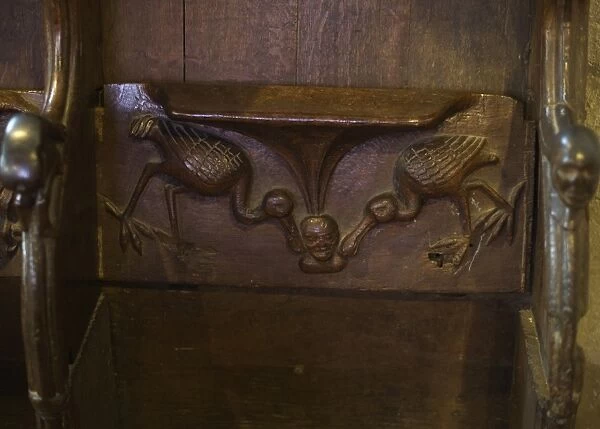 Misericord depicting spoonbills, Church of St. Peter and St. Paul, Lavenham, Suffolk, England