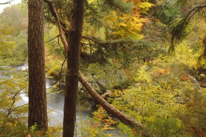 Framed Print : Mixed woodland habitat in river gorge, Rocks of Solitude, River North Esk, near Edzell, Angus, Scotland, october Framed Print : Mixed woodland habitat in river gorge, Rocks of Solitude, River North Esk, near Edzell, Angus, Scotland, october
