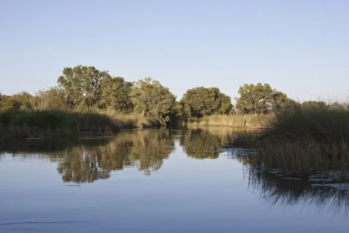 Framed Print : the Monachena River. Okavango Delta, Botswana Framed Print : the Monachena River. Okavango Delta, Botswana