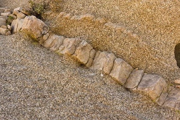 Monzo-granite with intrusive sill, Joshua Tree N. P. Mojave Desert, California, U. S. A. february