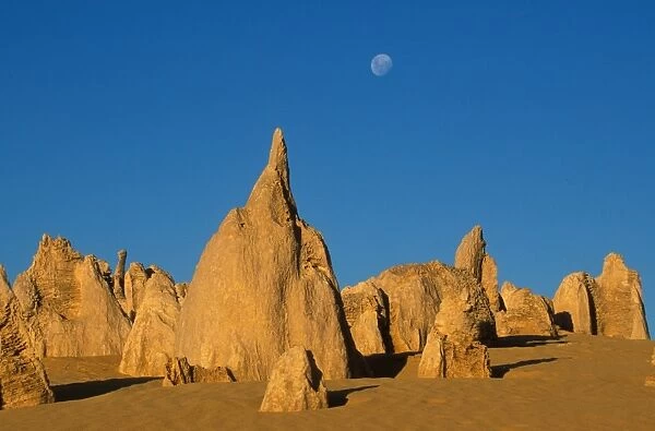 Moon The moon behind limestone pillars of the Pinnacles Desert of Nambung NP