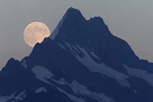 Full Moon rising over mountain peak at dusk, Schreckhorn, Swiss Alps, Bernese Oberland, Switzerland, August