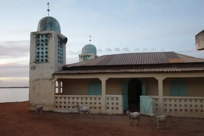 Framed Print : Mosque and sheep in village at sunset, Gambia, january Framed Print : Mosque and sheep in village at sunset, Gambia, january