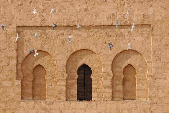 Framed Print : Mosque windows with Feral Pigeon (Columba livia) flock in flight, Qessabin Mosque, Marrakesh, Morocco, january Framed Print : Mosque windows with Feral Pigeon (Columba livia) flock in flight, Qessabin Mosque, Marrakesh, Morocco, january