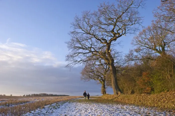 Framed Print : Mother and son walking on snow beside bare trees at edge of farmland, Norfolk, England, december Framed Print : Mother and son walking on snow beside bare trees at edge of farmland, Norfolk, England, december