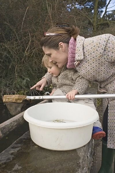 Mother and toddler pond-dipping with net, England, spring