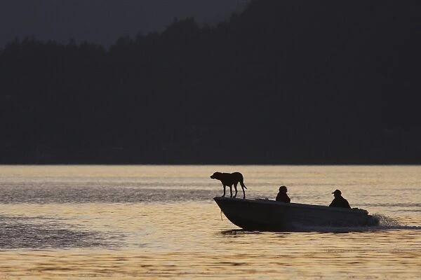 Motorboat with people and dog silhouetted at sunset, Saltspring Island, Strait of Georgia, Gulf Islands